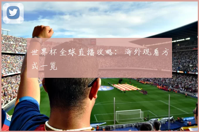 世界杯全球直播攻略:海外观看方式一览