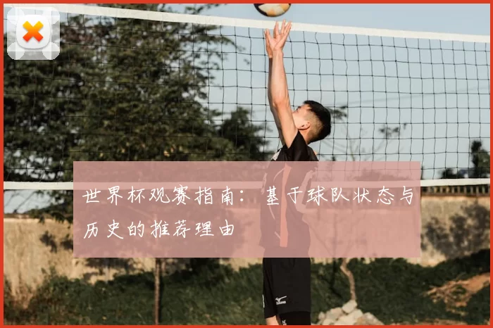 世界杯观赛指南：基于球队状态与历史的推荐理由