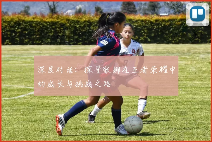 深度对话：探寻张娜在王者荣耀中的成长与挑战之路