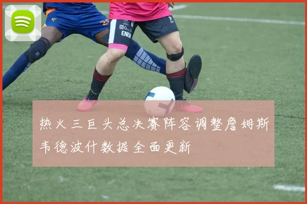 热火三巨头总决赛阵容调整詹姆斯韦德波什数据全面更新
