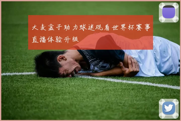 大麦盒子助力球迷观看世界杯赛事直播体验升级