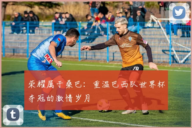 荣耀属于桑巴:重温巴西队世界杯夺冠的激情岁月