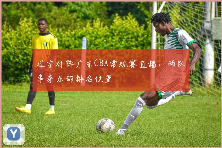 辽宁对阵广东CBA常规赛直播,两队争夺东部排名位置