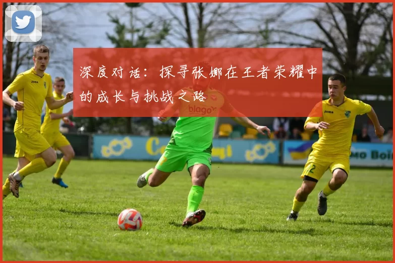 深度对话:探寻张娜在王者荣耀中的成长与挑战之路