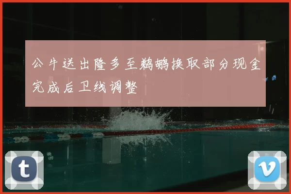 公牛送出隆多至鹈鹕换取部分现金完成后卫线调整
