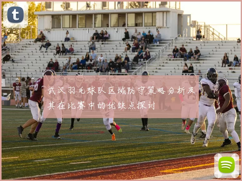 武汉羽毛球队区域防守策略分析及其在比赛中的优缺点探讨