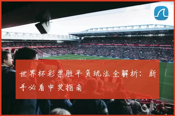 世界杯彩票胜平负玩法全解析：新手必看中奖指南