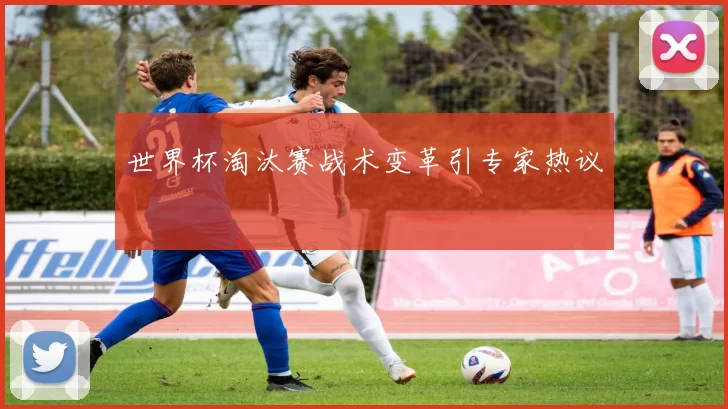 世界杯淘汰赛战术变革引专家热议